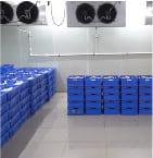 Milk Cold Storage