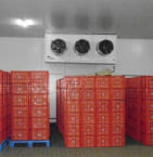 Milk Cold Storage