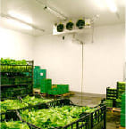 Cold storage