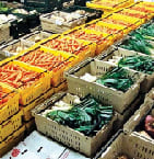 Food Cold Storage