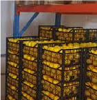 Food Cold Storage