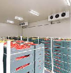 Food Cold Storage