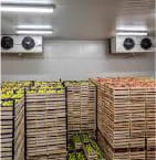 Food Cold Storage