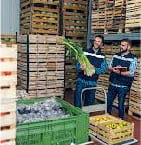 Food Cold Storage