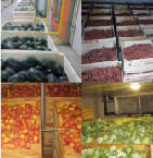 Food Cold Storage