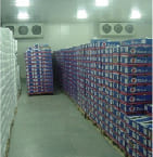 Ice cream Cold Storage