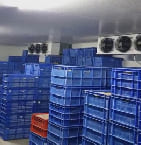 Ice cream Cold Storage
