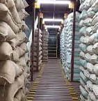 Seed Cold Storage